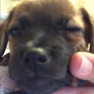 Meet your Posher, Terry